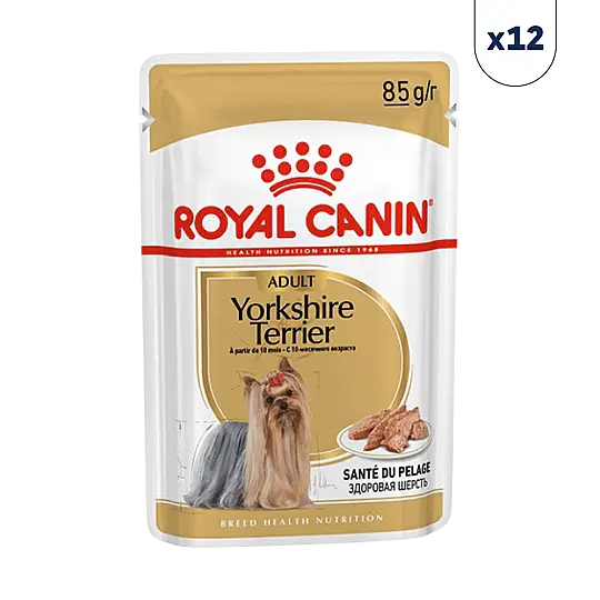 Royal Canin Yorkshire Terrier Yetişkin Köpek Konservesi 85 gr 12'li